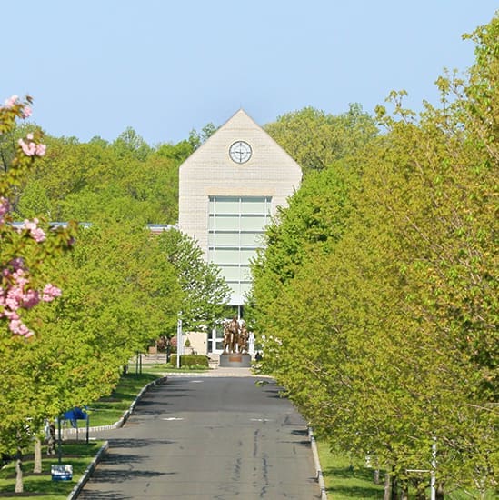 Basking Ridge